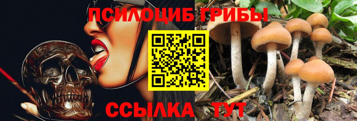 Псилоцибиновые грибы MAGIC MUSHROOMS Верхний Уфалей
